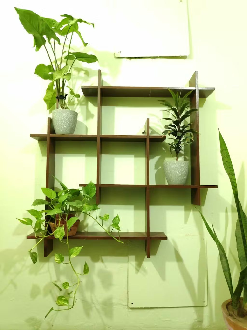 Premium Quality Wall Mounted Shelf